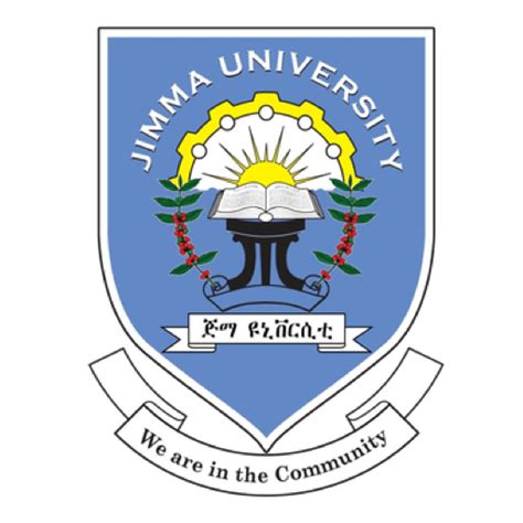 jimma university email login